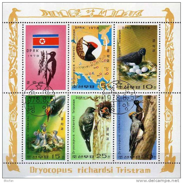 Spechte WWF 1979 Korea 1790/4 6-KB O 12€ Specht Im Nest Dryocopus Javensis Richardsi Fauna Birds Hoja Sheetlet M/s Corea - Usati