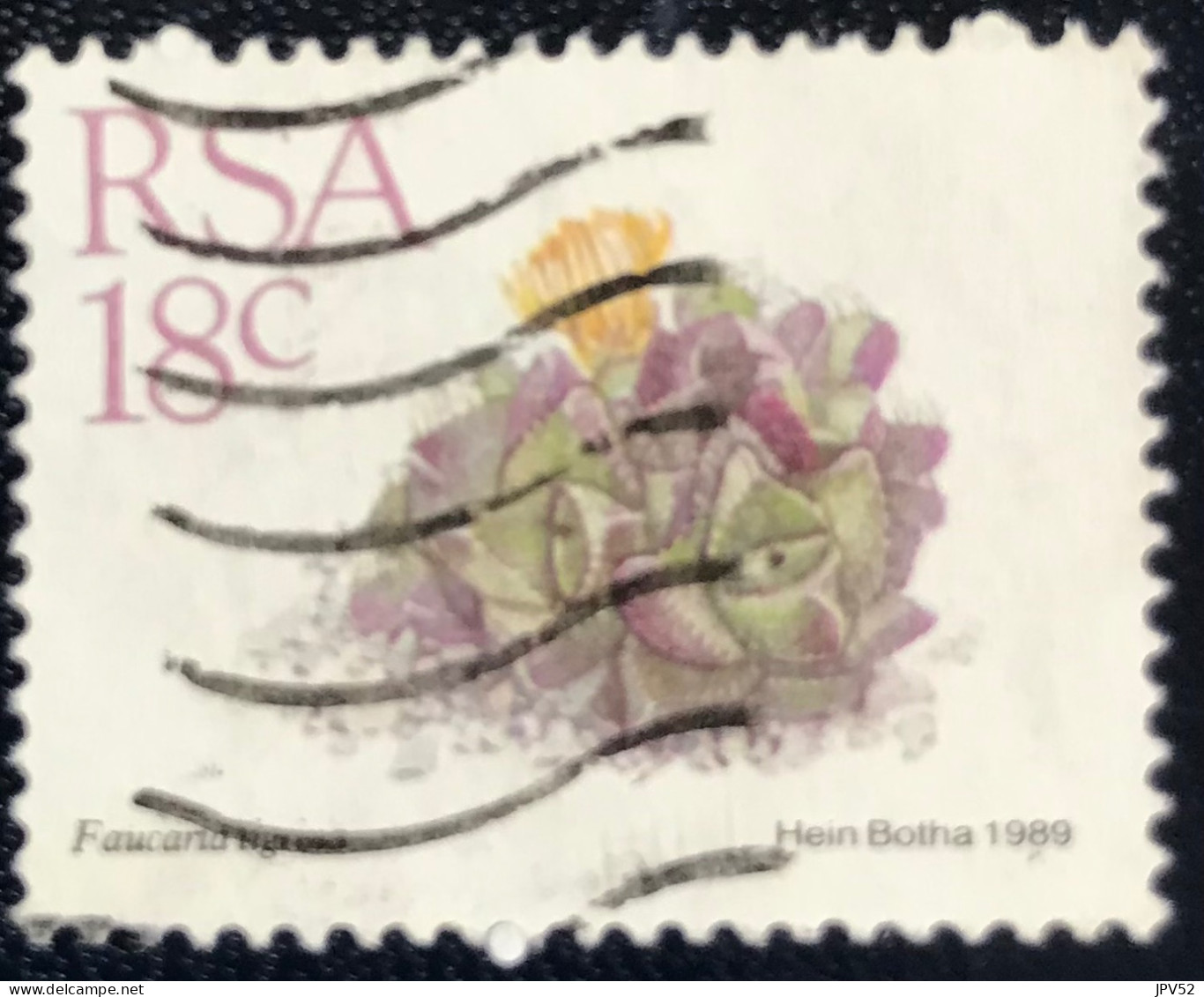 RSA - South Africa - Suid-Afrika  - C18/6 - 1989 - (°)used - Michel 770 - Vetplanten - Gebraucht