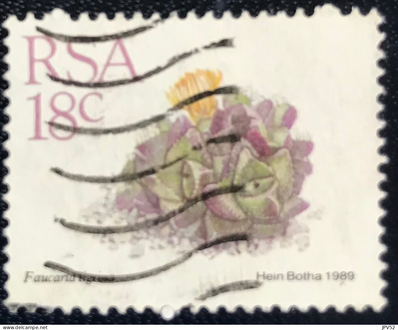 RSA - South Africa - Suid-Afrika  - C18/6 - 1989 - (°)used - Michel 770 - Vetplanten - Oblitérés