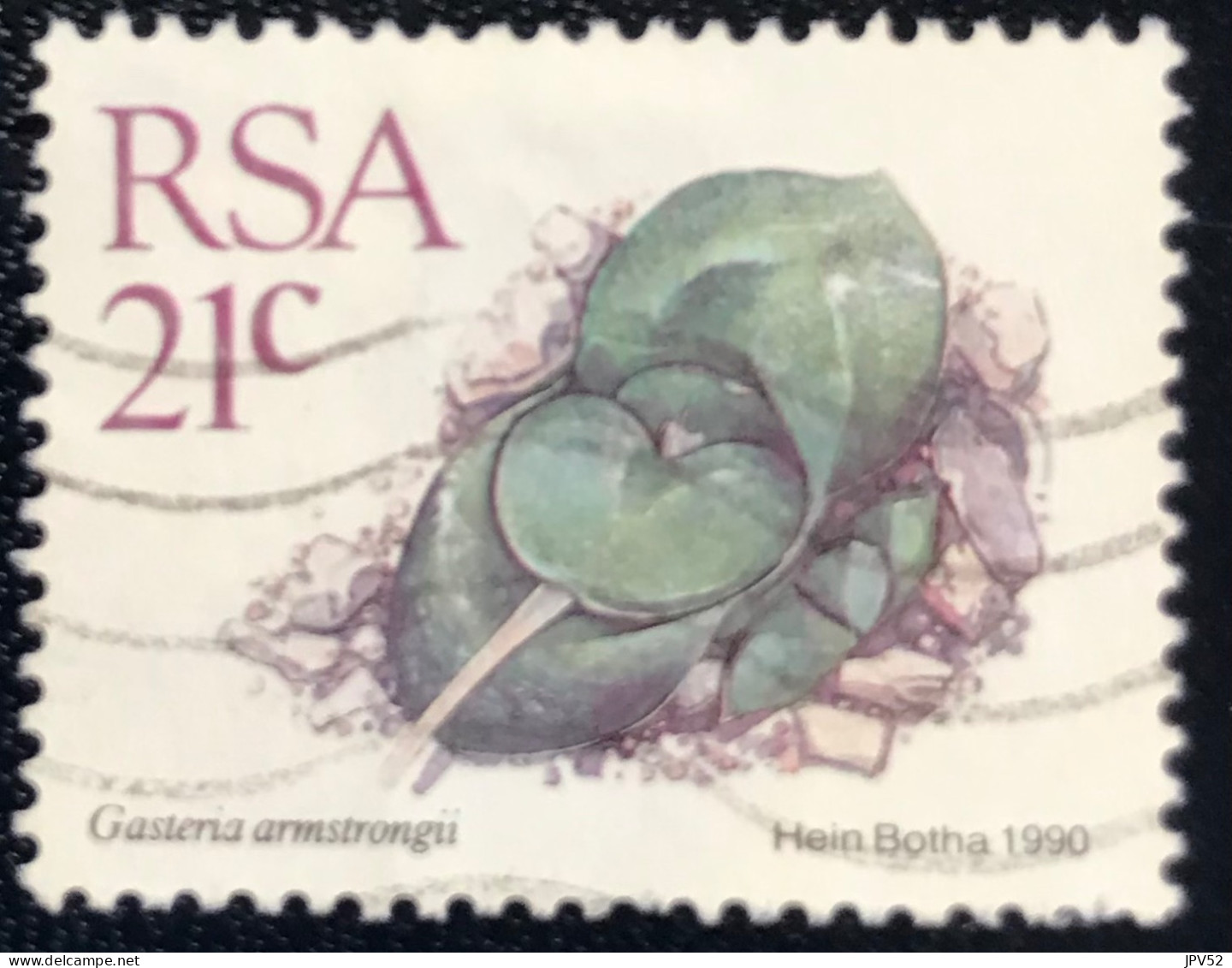 RSA - South Africa - Suid-Afrika  - C18/6 - 1990 - (°)used - Michel 794 - Vetplanten - Usati