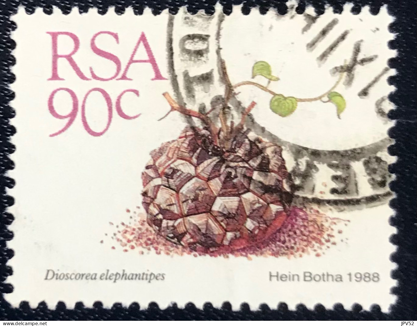 RSA - South Africa - Suid-Afrika  - C18/6 - 1988 - (°)used - Michel 755 - Vetplanten - Oblitérés