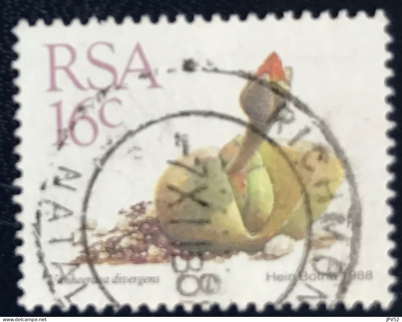 RSA - South Africa - Suid-Afrika  - C18/6 - 1988 - (°)used - Michel 748 - Vetplanten - Used Stamps