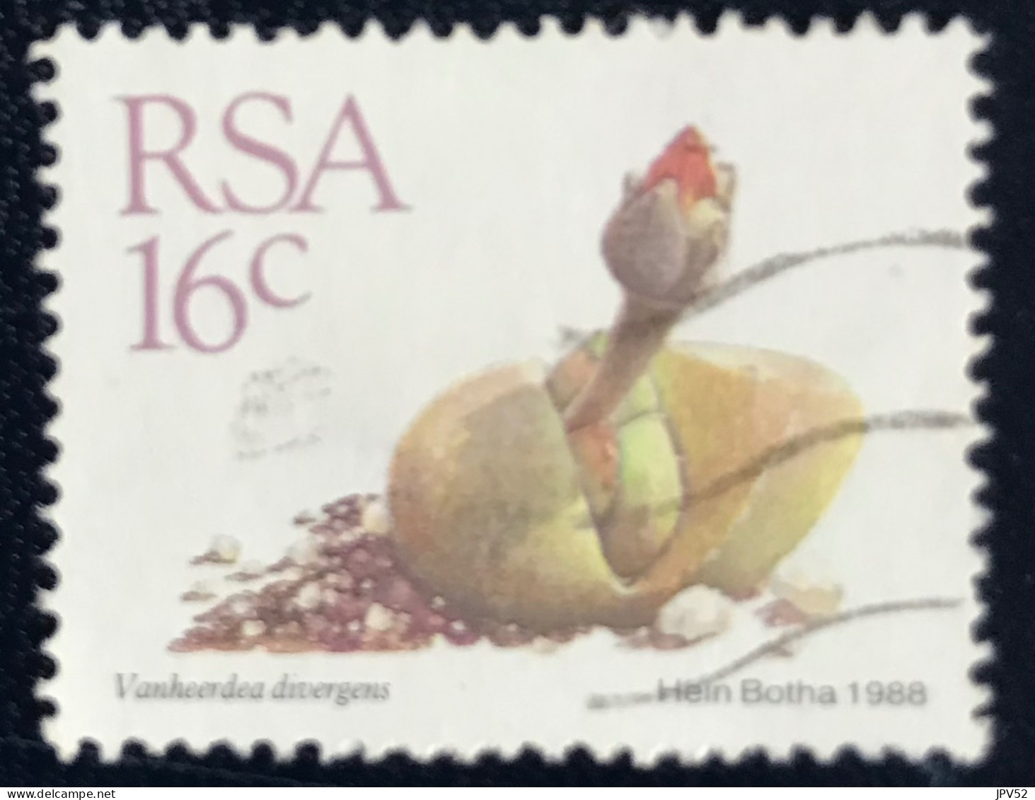 RSA - South Africa - Suid-Afrika  - C18/6 - 1988 - (°)used - Michel 748 - Vetplanten - Gebruikt