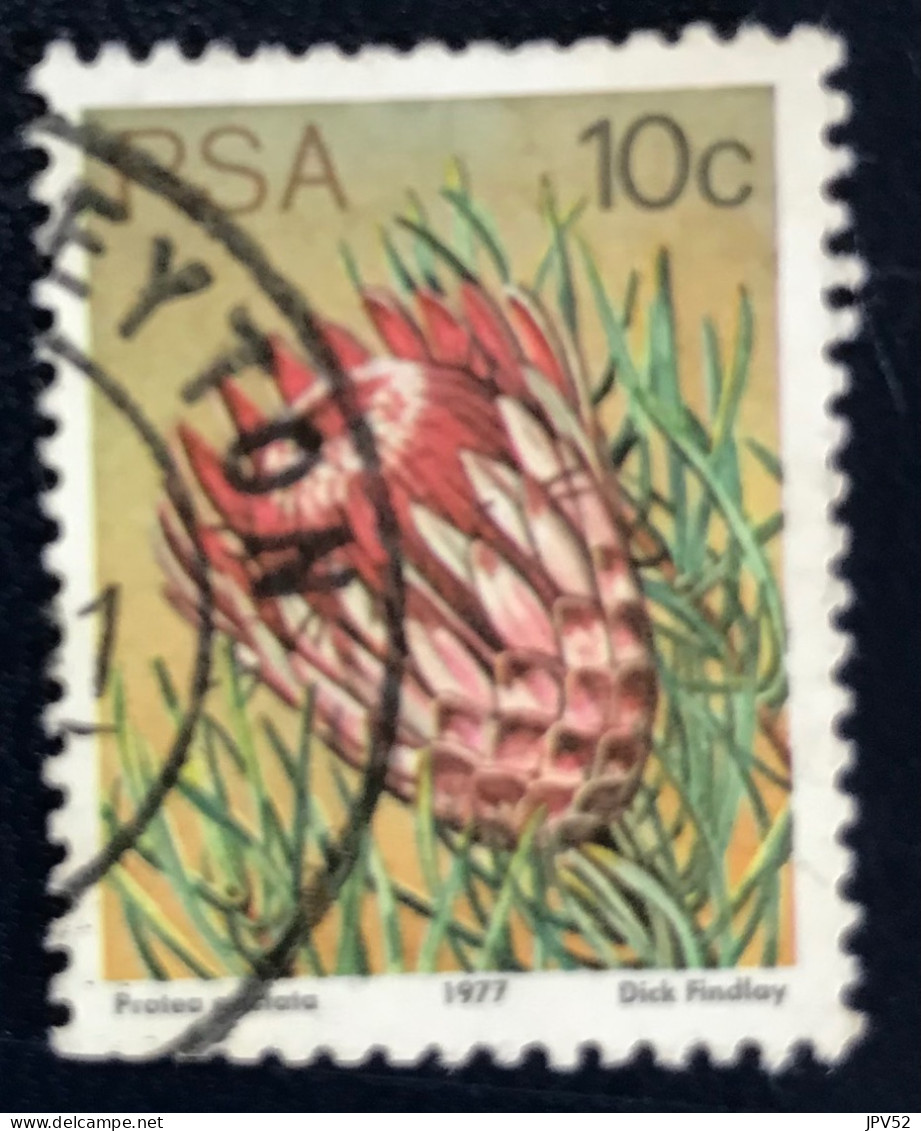 RSA - South Africa - Suid-Afrika  - C18/6 - 1977 - (°)used - Michel 521 - Protea - Used Stamps