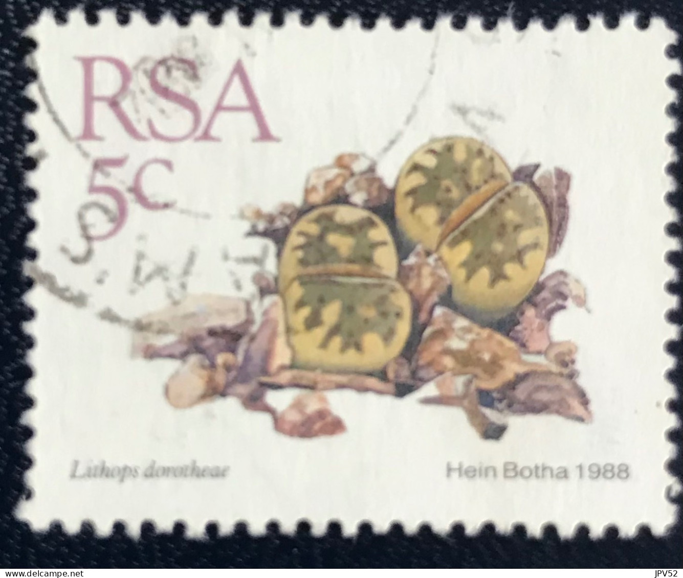 RSA - South Africa - Suid-Afrika  - C18/7 - 1988 - (°)used - Michel 745 - Vetplanten - Used Stamps