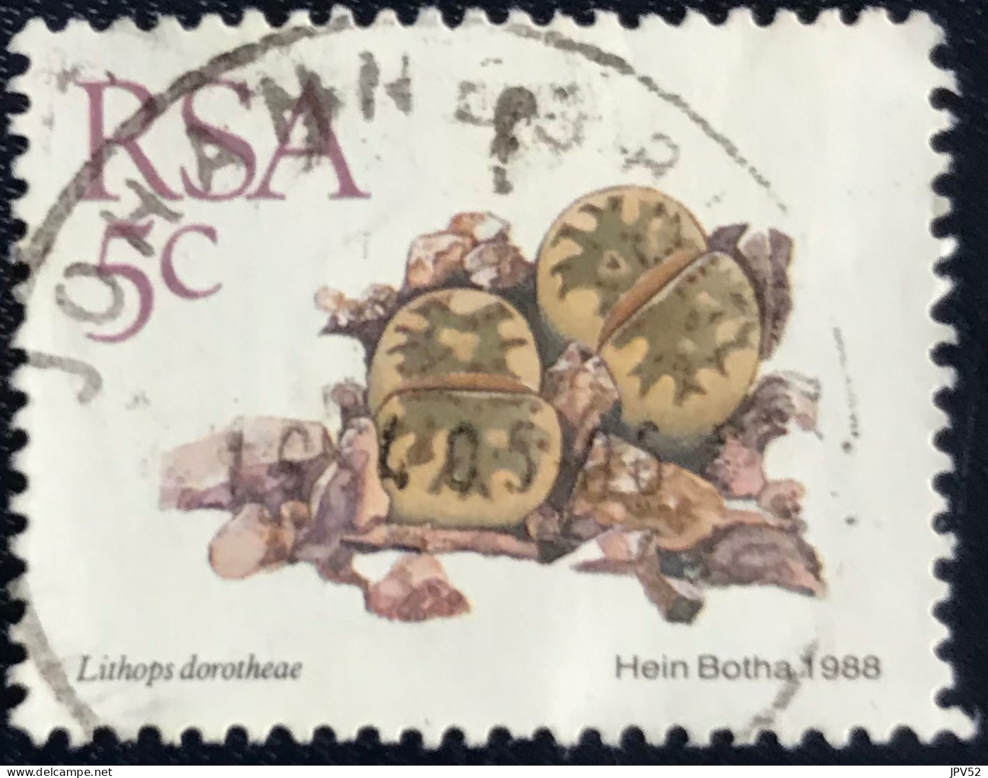 RSA - South Africa - Suid-Afrika  - C18/7 - 1988 - (°)used - Michel 745 - Vetplanten - Gebruikt