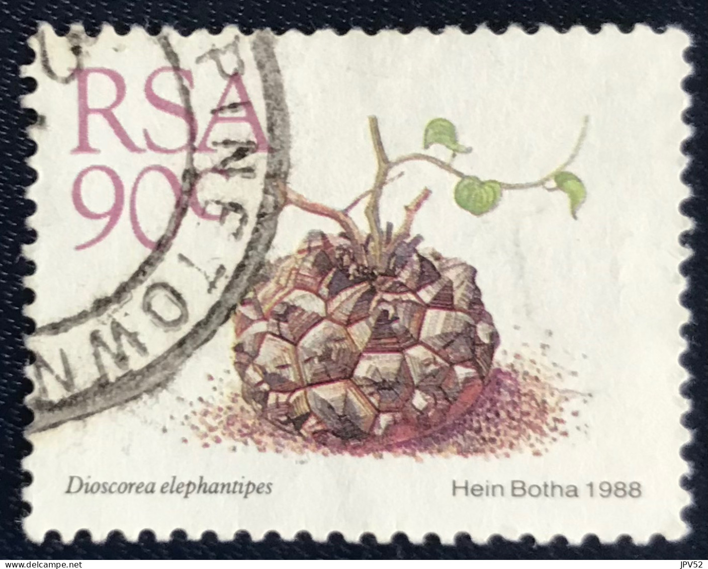 RSA - South Africa - Suid-Afrika  - C18/7 - 1988 - (°)used - Michel 755 - Vetplanten - Oblitérés