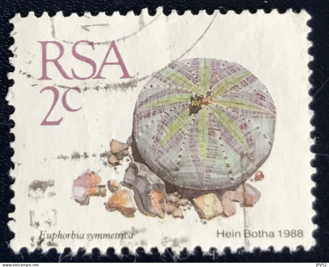 RSA - South Africa - Suid-Afrika  - C18/7 - 1988 - (°)used - Michel 744 - Vetplanten - Gebruikt