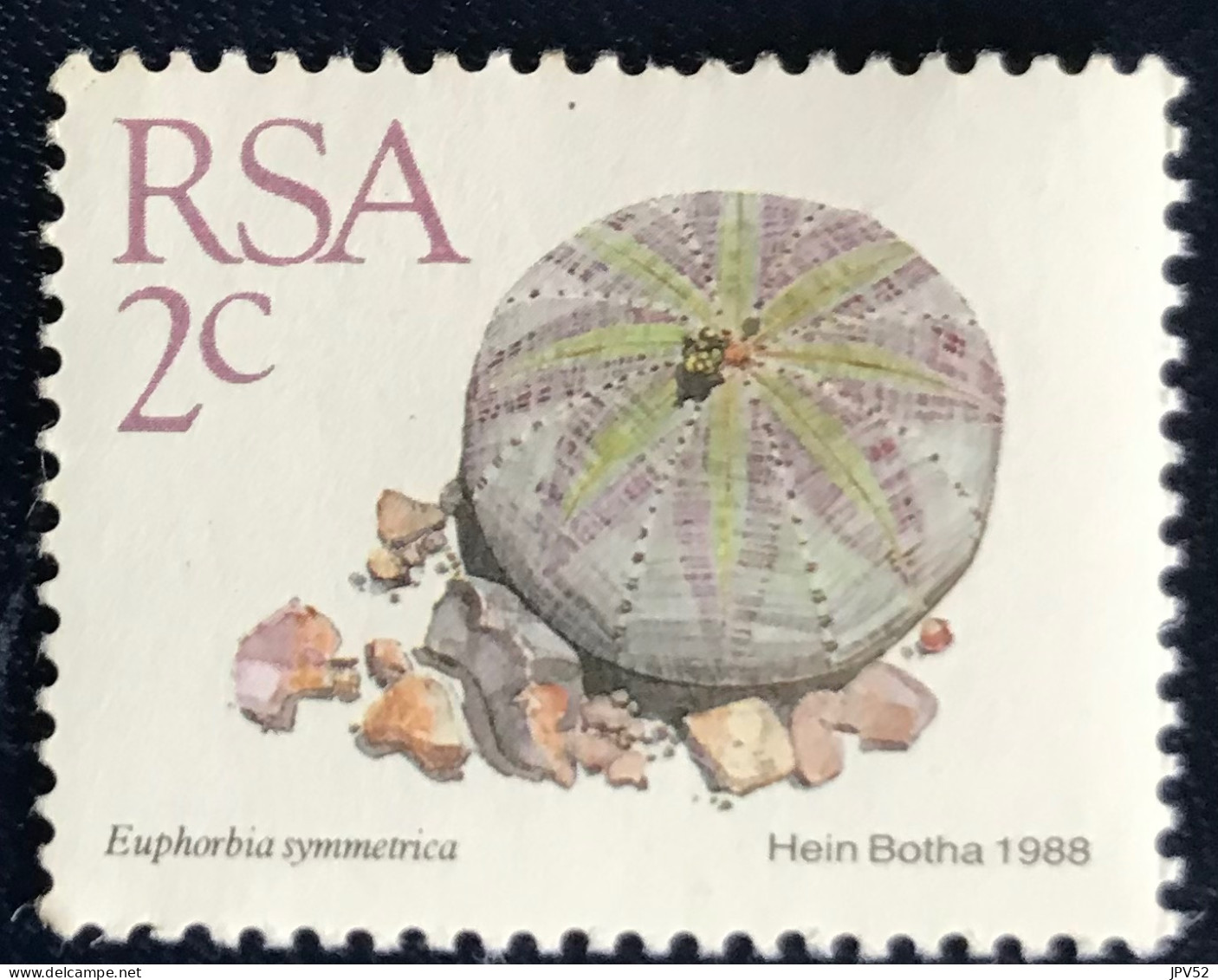 RSA - South Africa - Suid-Afrika  - C18/7 - 1988 - MNH - Michel 744 - Vetplanten - Neufs