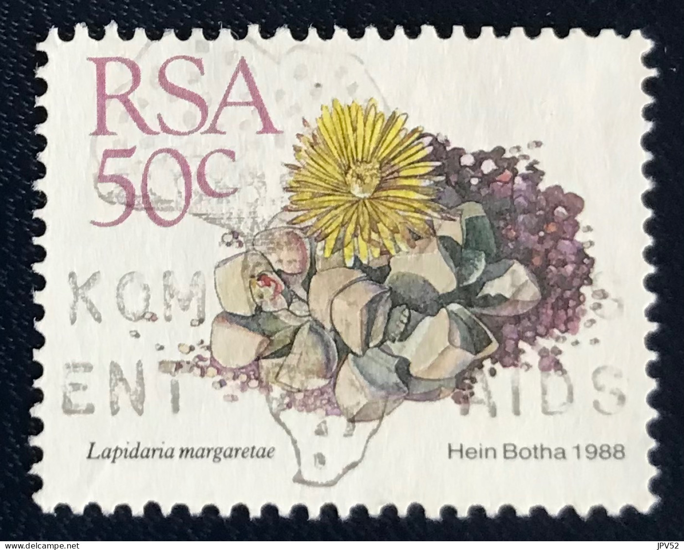 RSA - South Africa - Suid-Afrika  - C18/7 - 1988 - (°)used - Michel 754 - Vetplanten - Usati