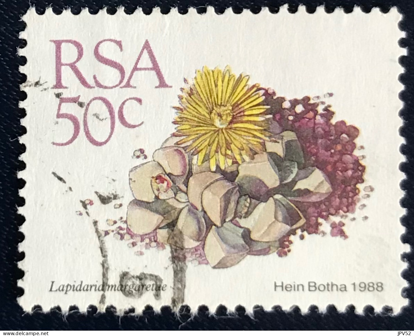 RSA - South Africa - Suid-Afrika  - C18/7 - 1988 - (°)used - Michel 754 - Vetplanten - Usados