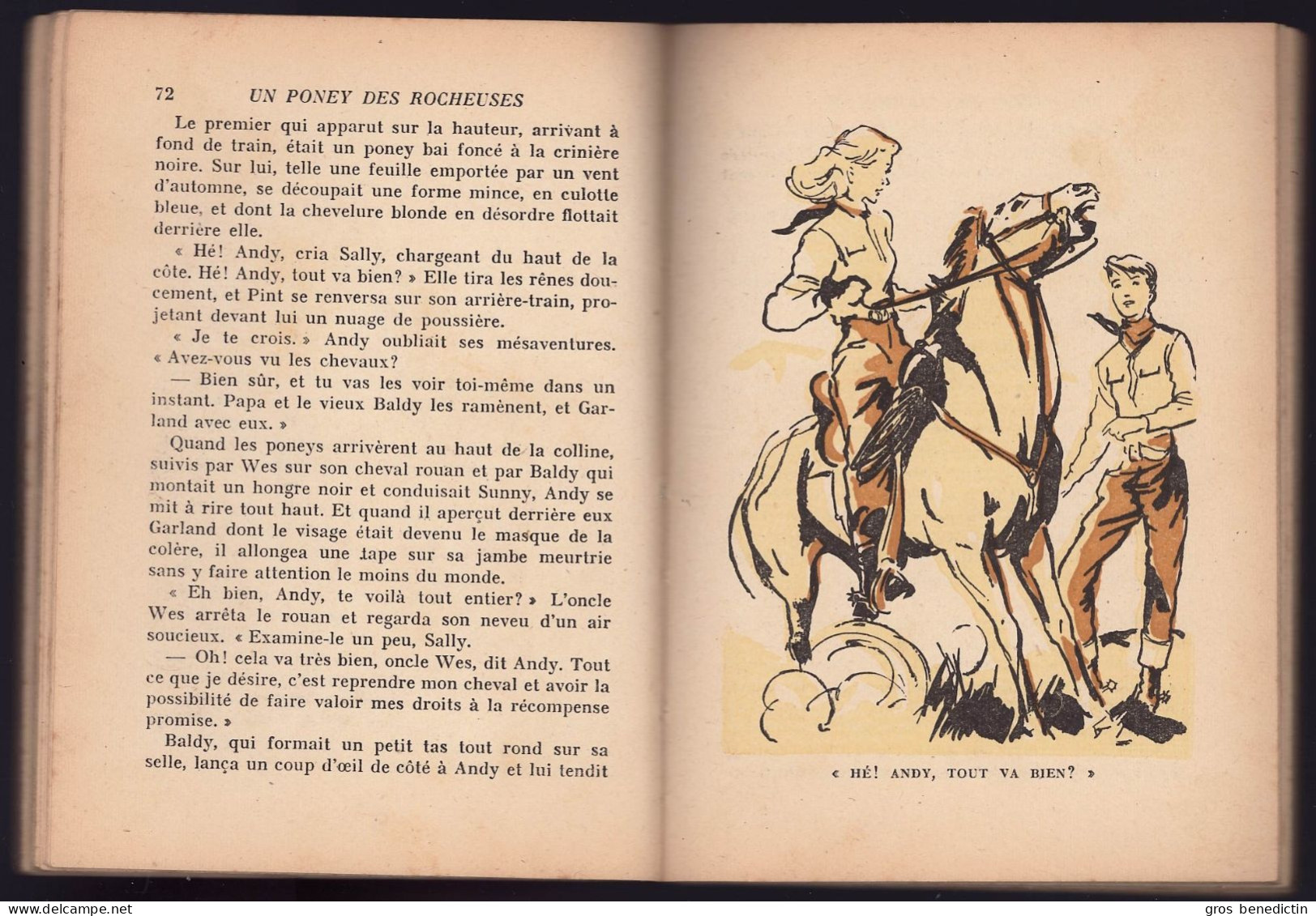 Hachette - Bibliothèque De La Jeunesse Avec Jaquette - Henry V. Larom - "Un Poney Des Rocheuses" - 1952 - #Ben&BJanc - Bibliotheque De La Jeunesse