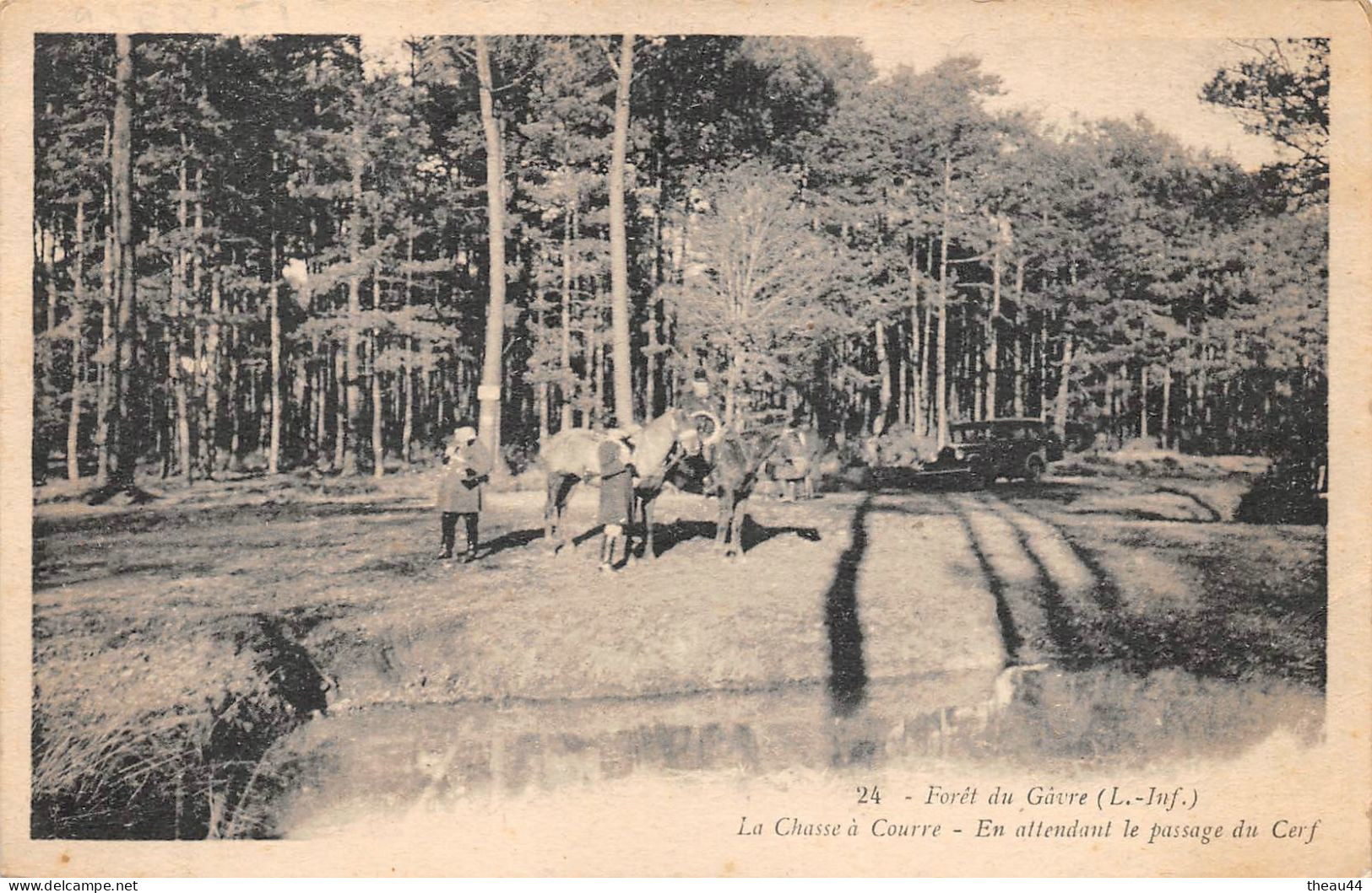 ¤¤  -  LE GAVRE   -   En Forêt  -  Chasse à Courre   -  En Attendant Le Passage Du Cerf   -  Chasseurs     -   ¤¤ - Le Gavre