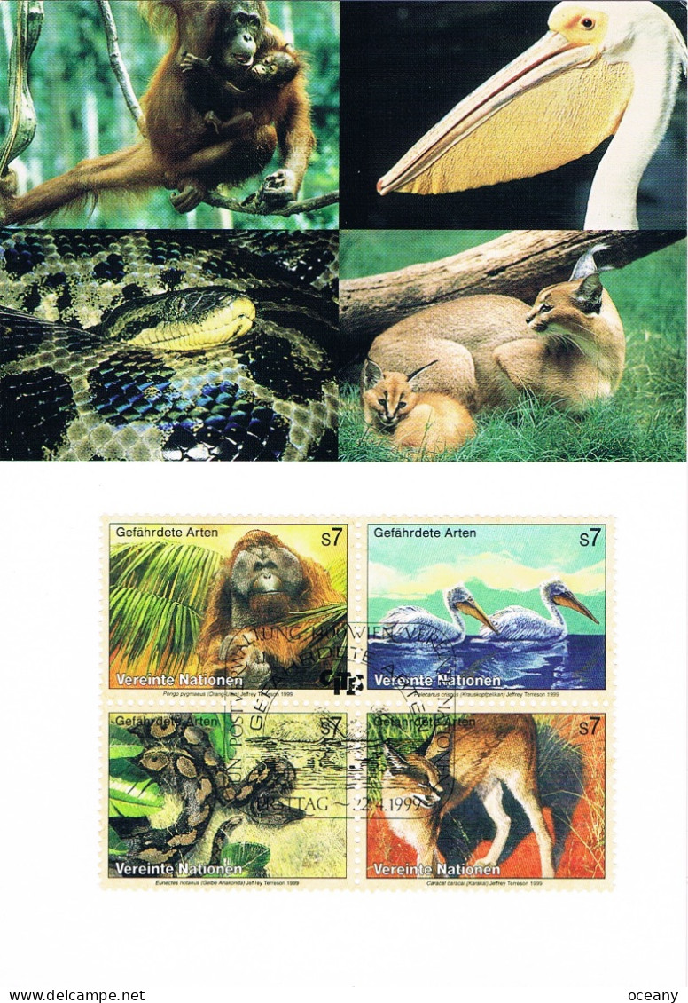 Nations Unies (Vienne) - Protection De La Nature : Espèces Menacées D'extinction (VII) CM 307/310 (année 1999) - Cartoline Maximum