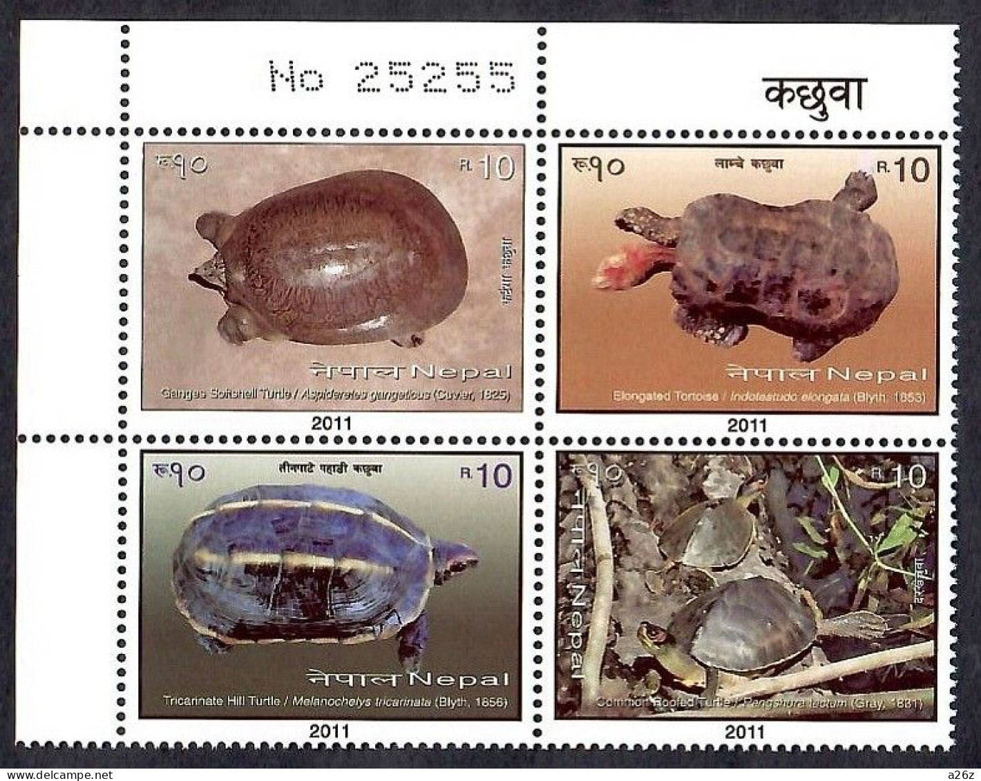 Nepal 2011 Turtles Block Of 4V MNH - Népal