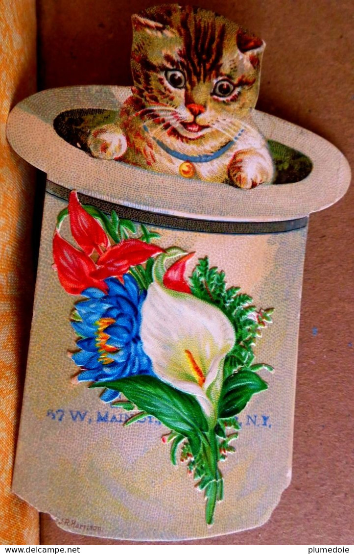 CHROMO Lot De 2 DECOUPIS XIX ° CHATS CHAPEAU , 11 Cm  SCRAPS 2 VICTORIAN DIE CUT. CAT , KITTEN In HAT , KATZE Ca 1880 - Animaux