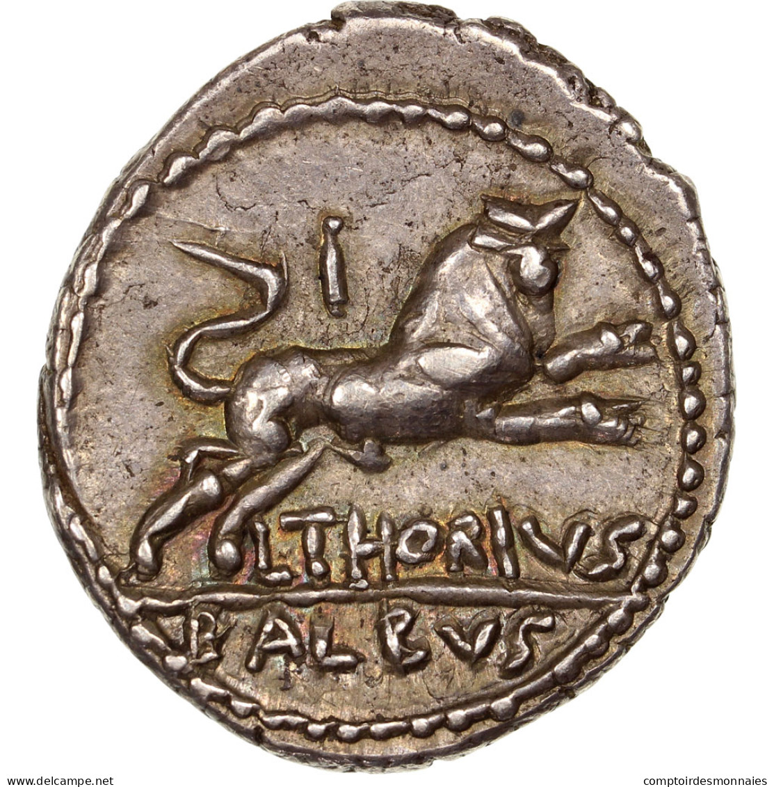 Monnaie, Thoria, Denier, 105 BC, Rome, SUP, Argent, Crawford:316/1 - République (-280 à -27)