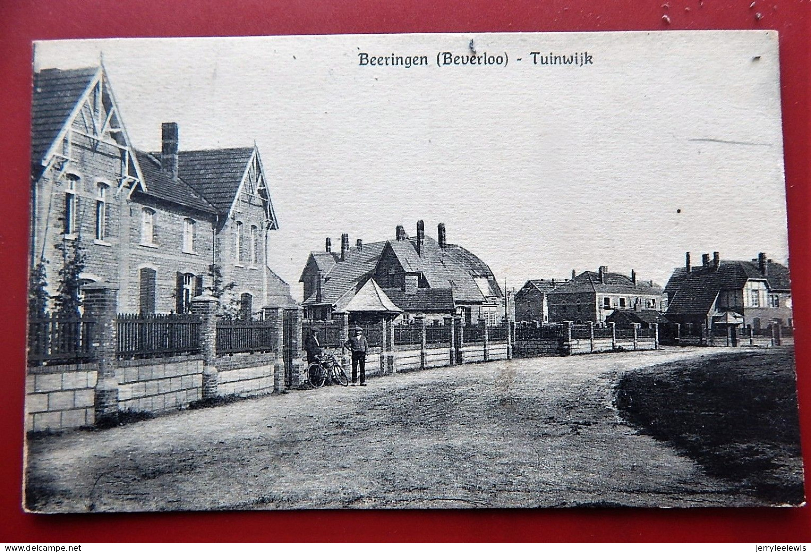 BERINGEN  -  Tuinwijk - Beringen