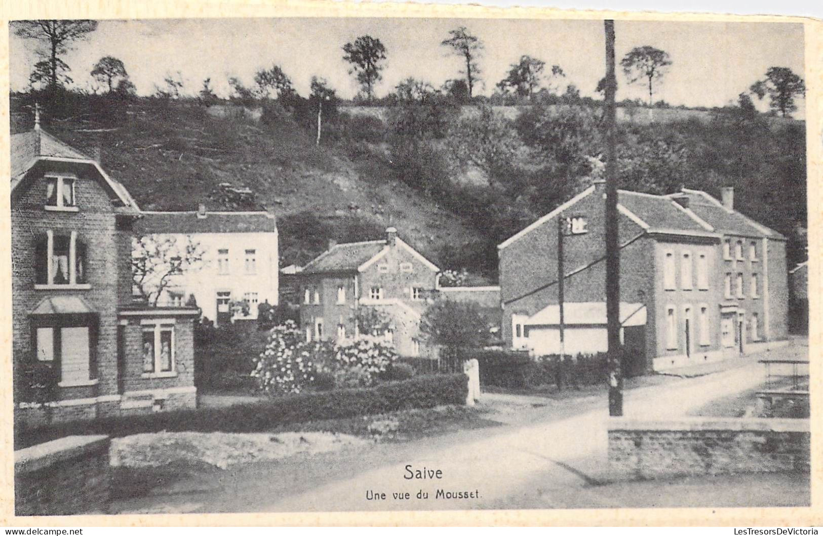 BELGIQUE - SAIVE - Une Vue Du Mousset - Edit A Fraikin Fassotte - Carte Postale Ancienne - Autres & Non Classés