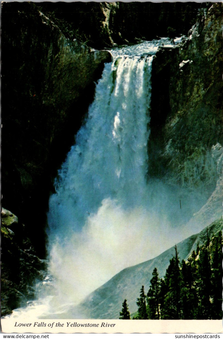 Yellowstone National Park Lower Falls Of The Yellowstone River - USA National Parks