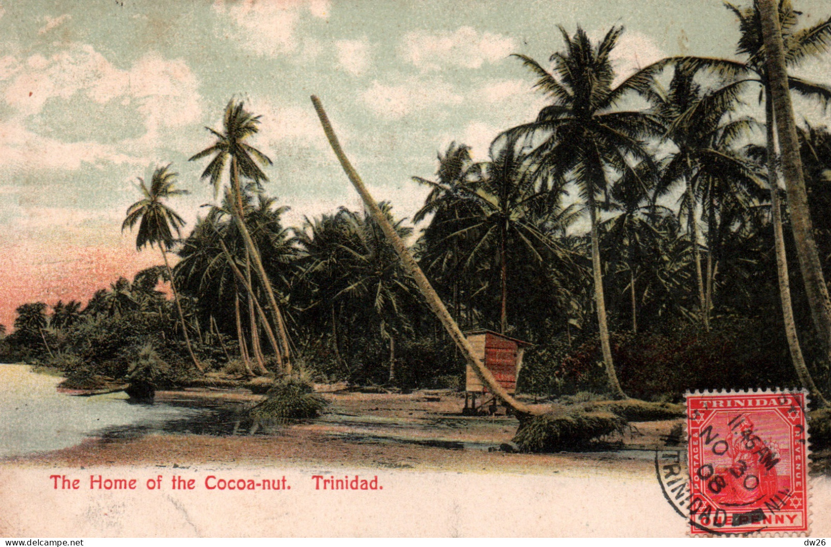 Trinidad (Antilles) The Home Of The Cocoa-nut (Palmiers Cacao) 1908 - Trinidad