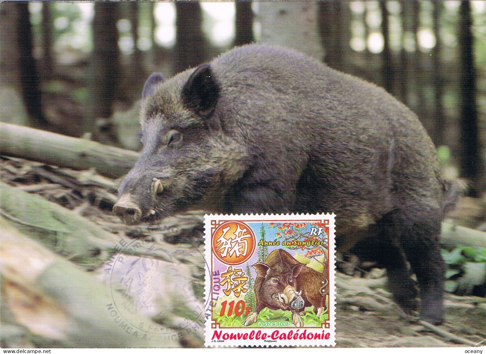 Nouvelle-Calédonie - Année Lunaire Chinoise Du Cochon CM 995 (année 2007) - Maximum Cards