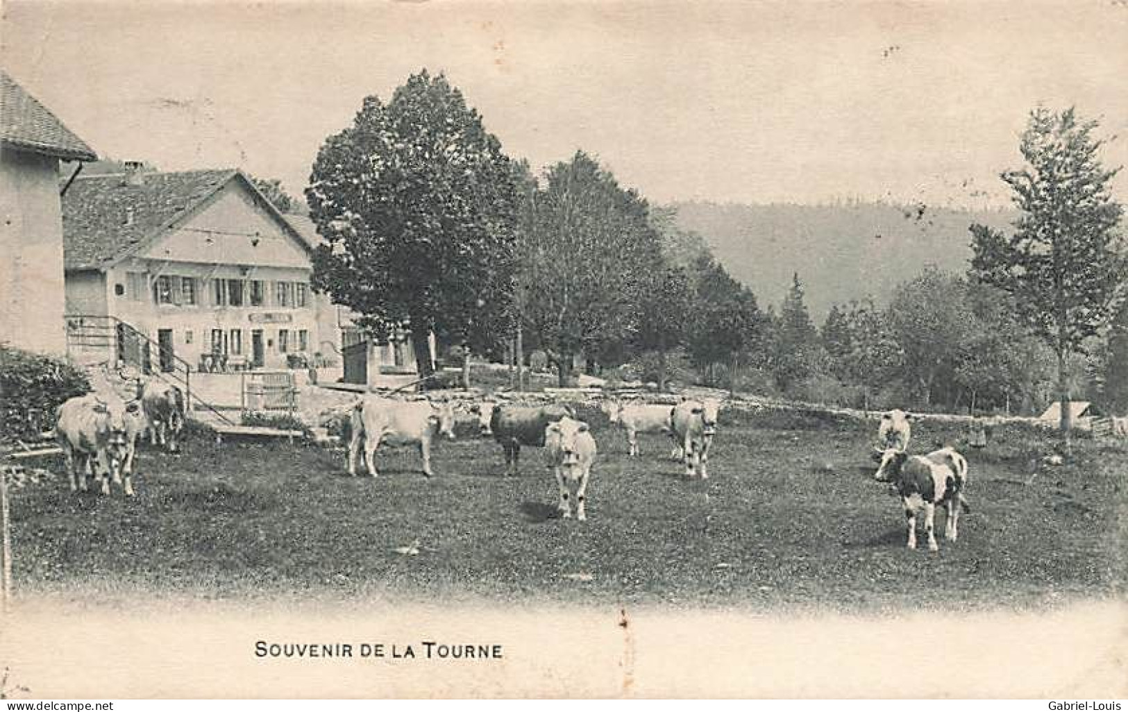 Souvenir De La Tourne Vaches 1909 Rochefort Ferme Jura Alpage Génisses - Rochefort