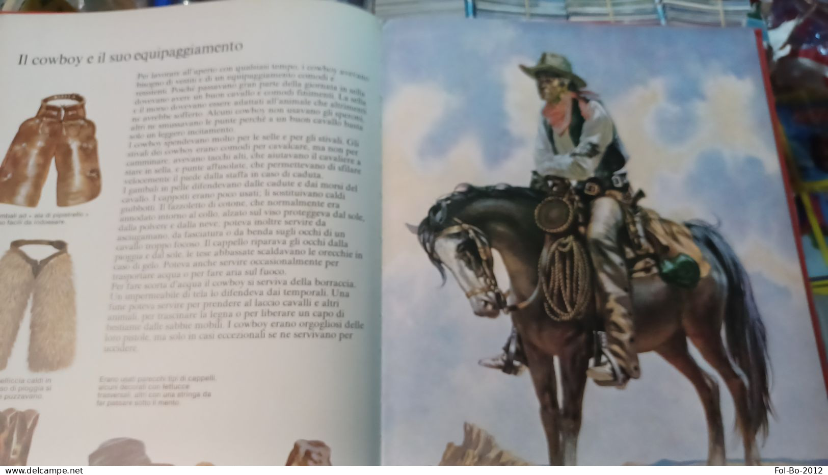 I Cowboy .vallardi Editore 1979 - Natur