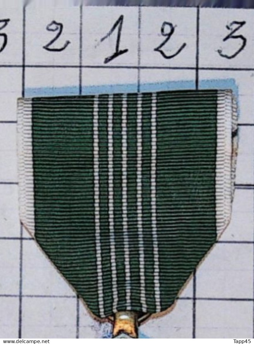 Médailles & Décorations >  Army Commendation Medal  > Réf:Cl USA P 2/ 6 - USA