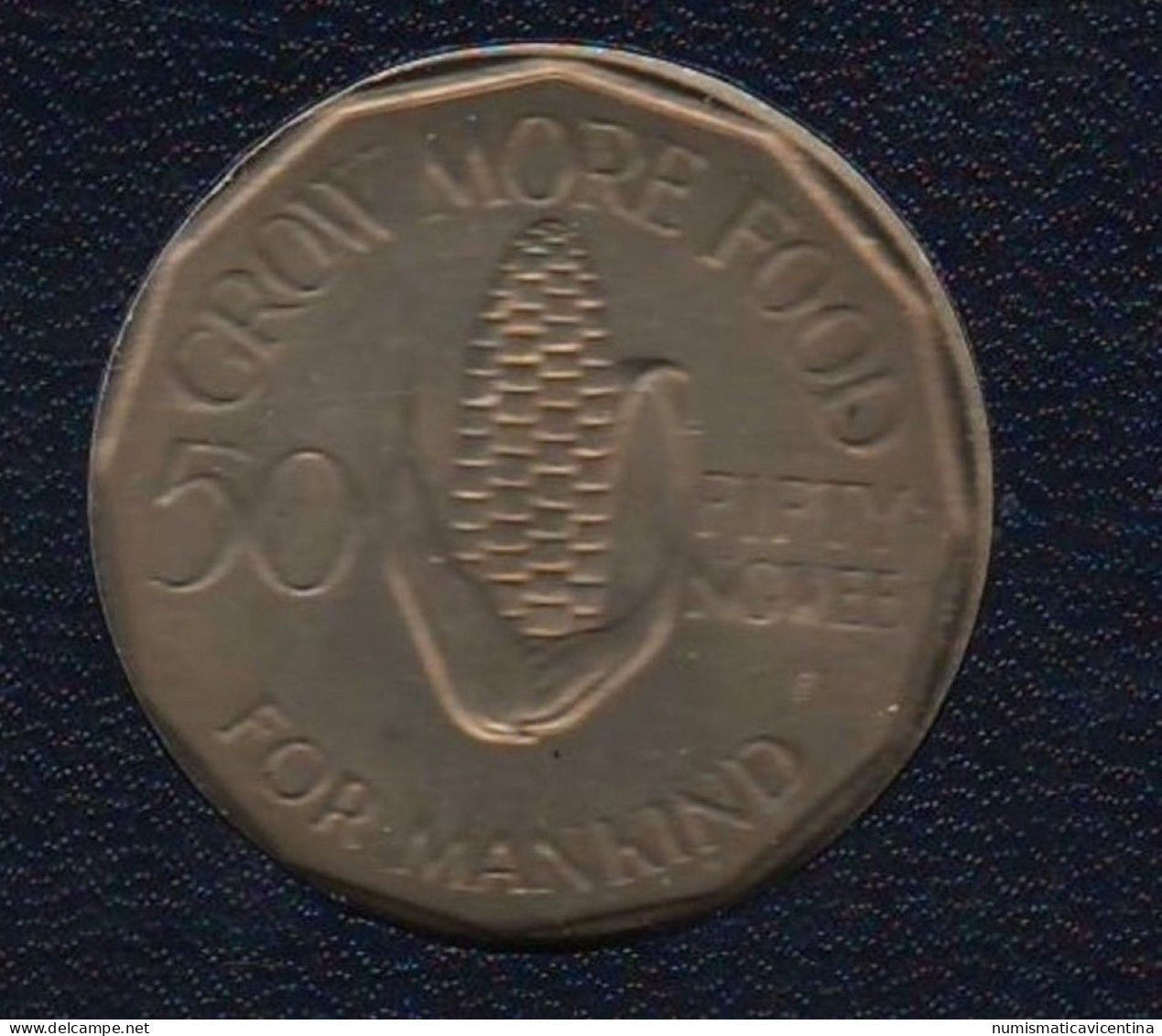 Zambia  50 Ngwee 1969 FAO Africa States Nickel Coin - Zambie
