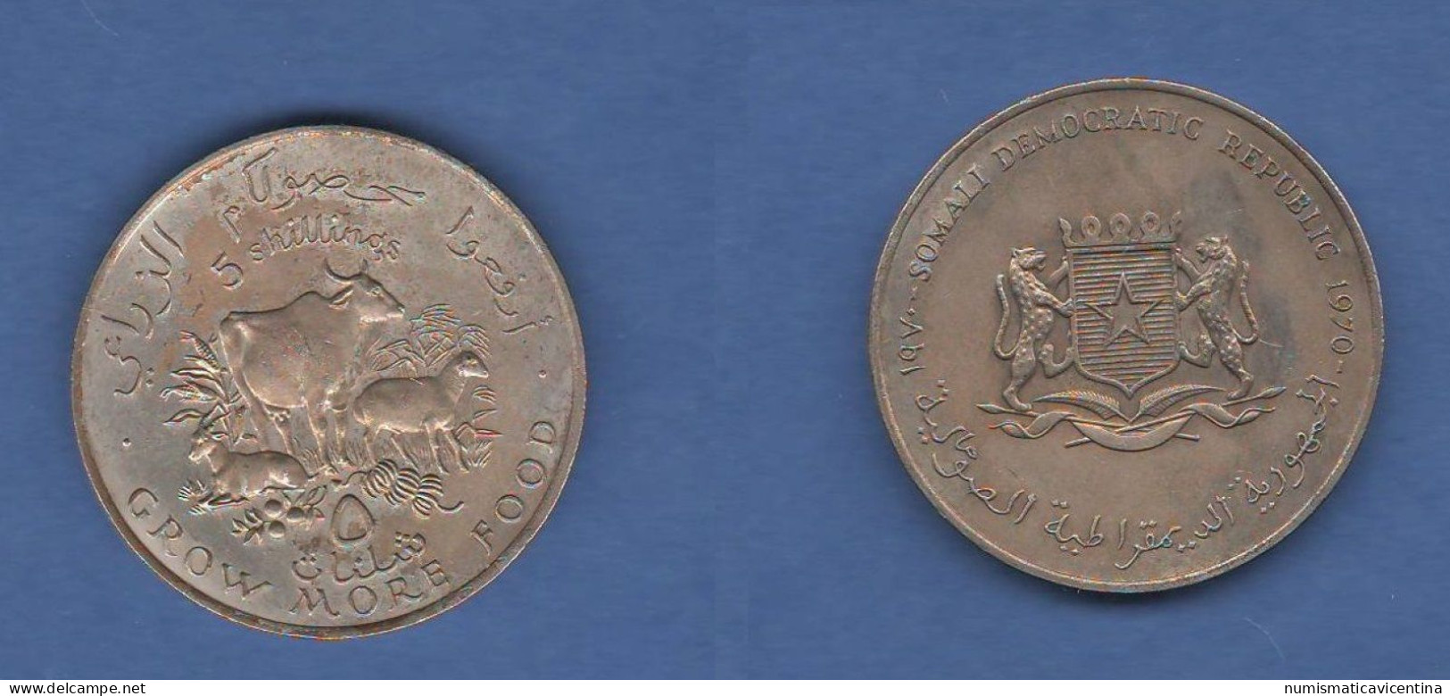 FAO Somalia 5 Shillings 1970 Republic Democratic Somalie Nickel Coin - Somalië