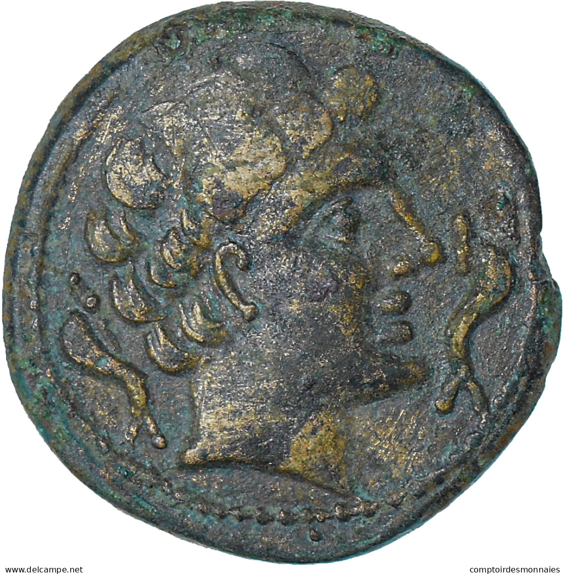 Iberia - Sekaisa, As, 1st Century BC, Zaragoza, Bronze, TTB - Galle