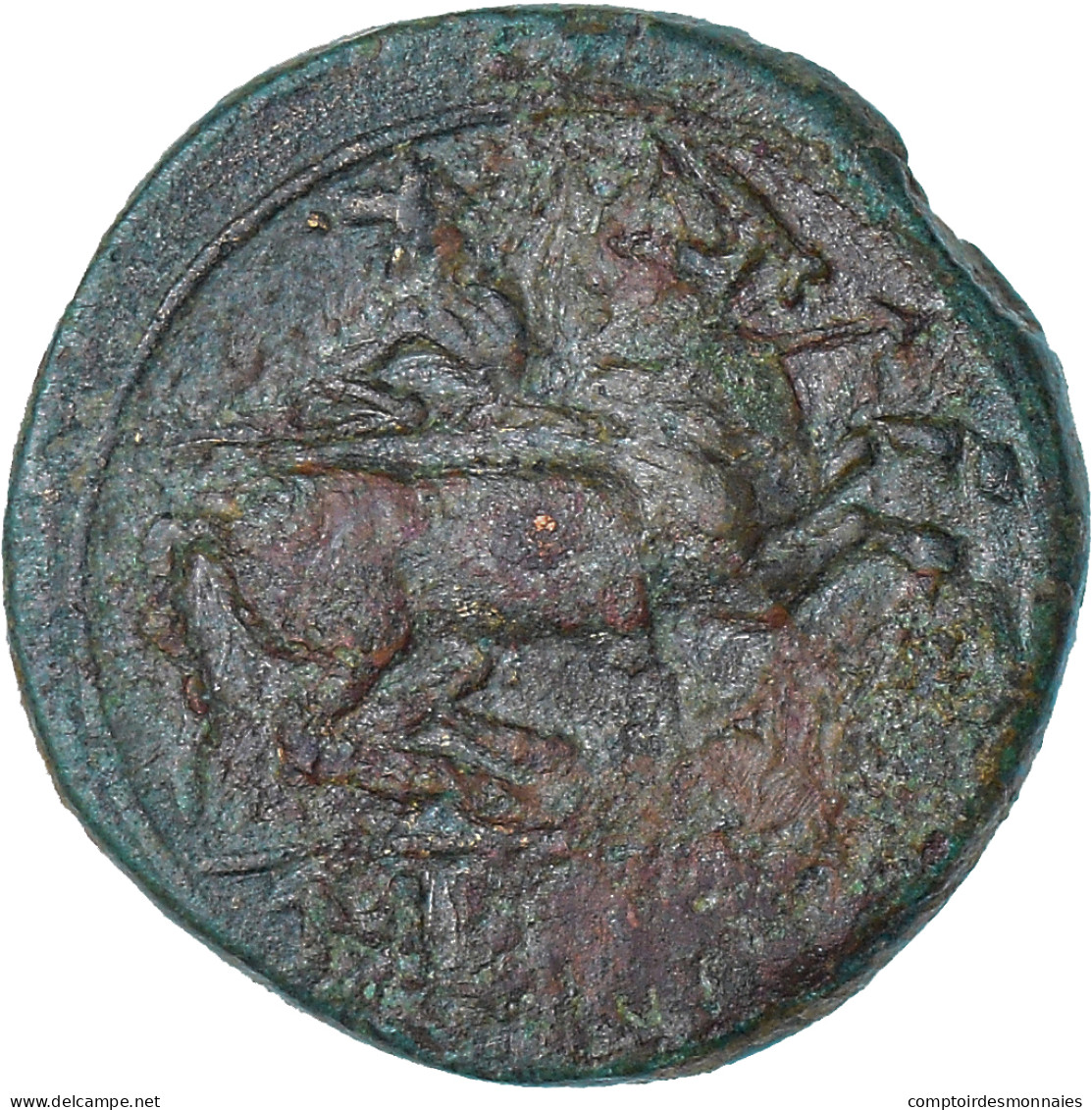 Iberia - Sekaisa, As, 1st Century BC, Zaragoza, Bronze, TTB - Galle