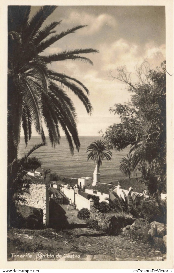 ESPAGNE - Tenerife - Bambla De Castro - Carte Postale Ancienne - Tenerife