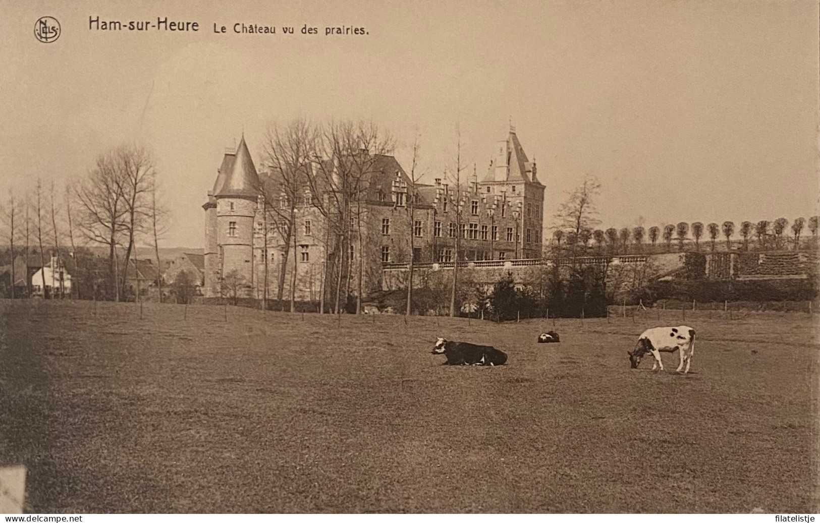 Han Sur Heure Le Chateau Vu Des Prairies - Ham-sur-Heure-Nalinnes