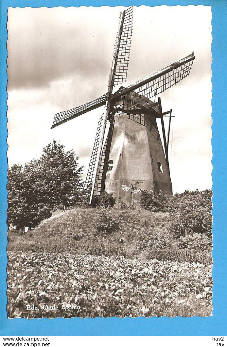 Ede Oude Molen RY48680 - Ede