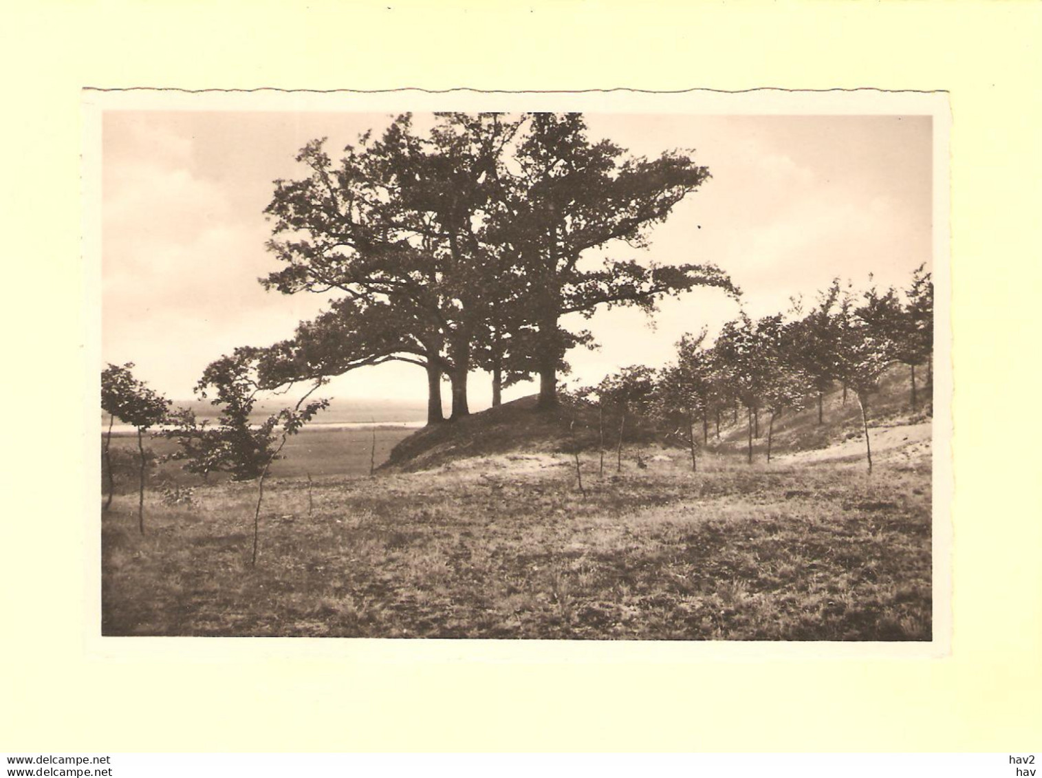 Oosterbeek De Noordberg Natuur RY46924 - Oosterbeek