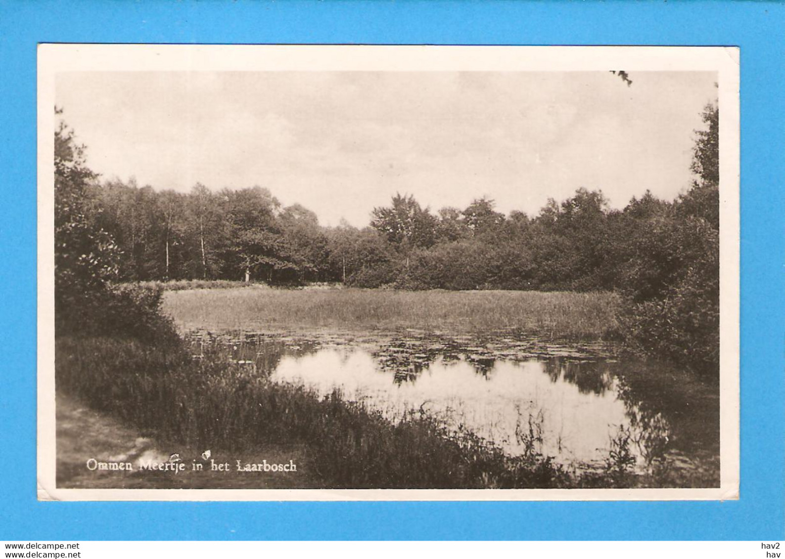 Ommen Meertje In Het Laarbosch 1949 RY47093 - Ommen