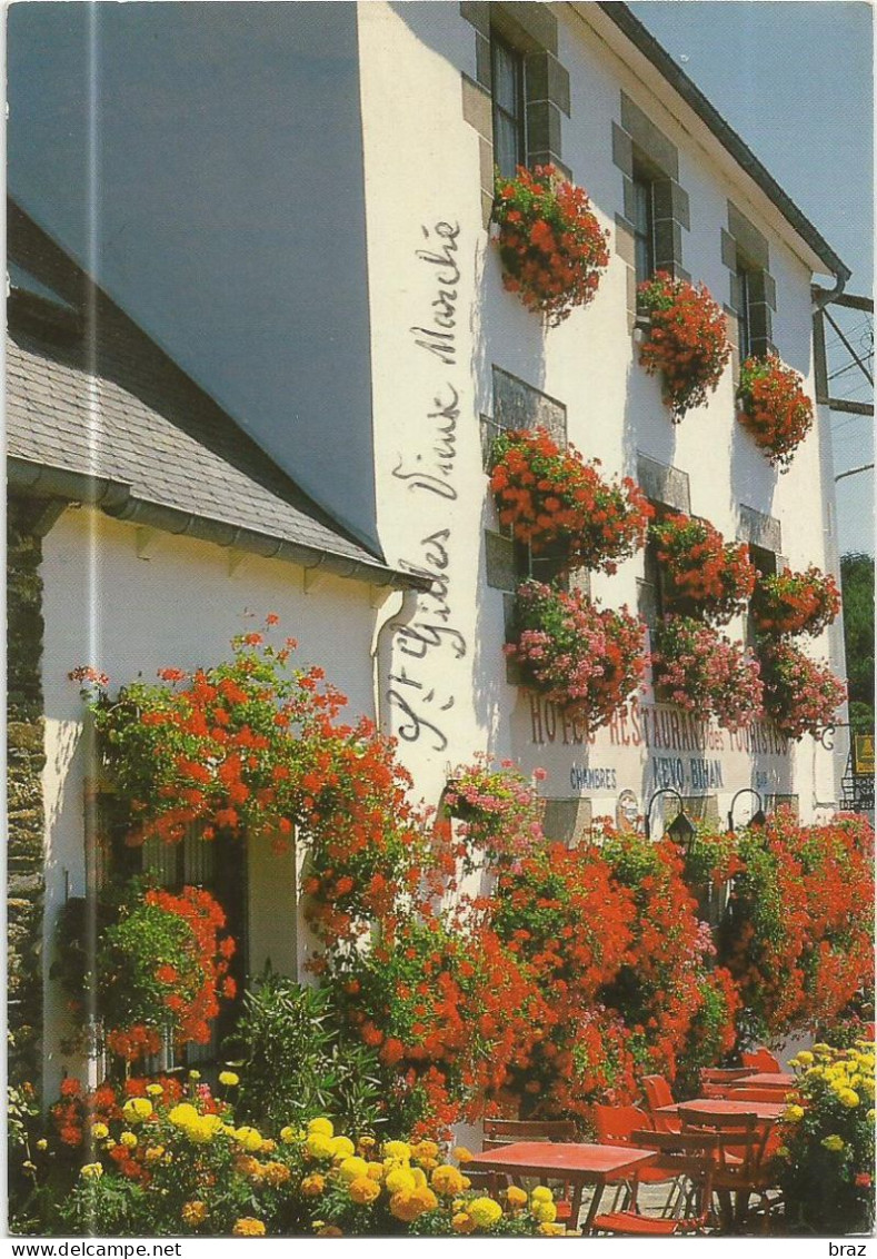 CPM  Saint Gilles Vieux Marché  Hotel Des Touristes - Saint-Gilles-Vieux-Marché