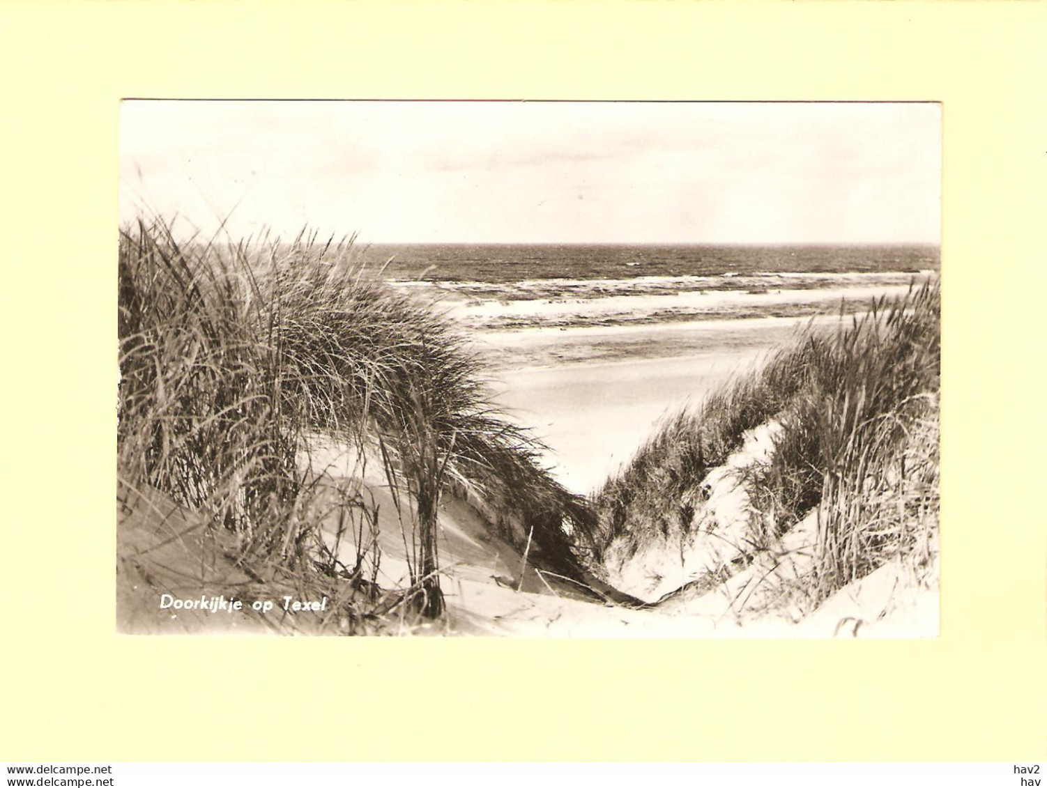 Texel Doorkijkje Naar Zee RY44849 - Texel