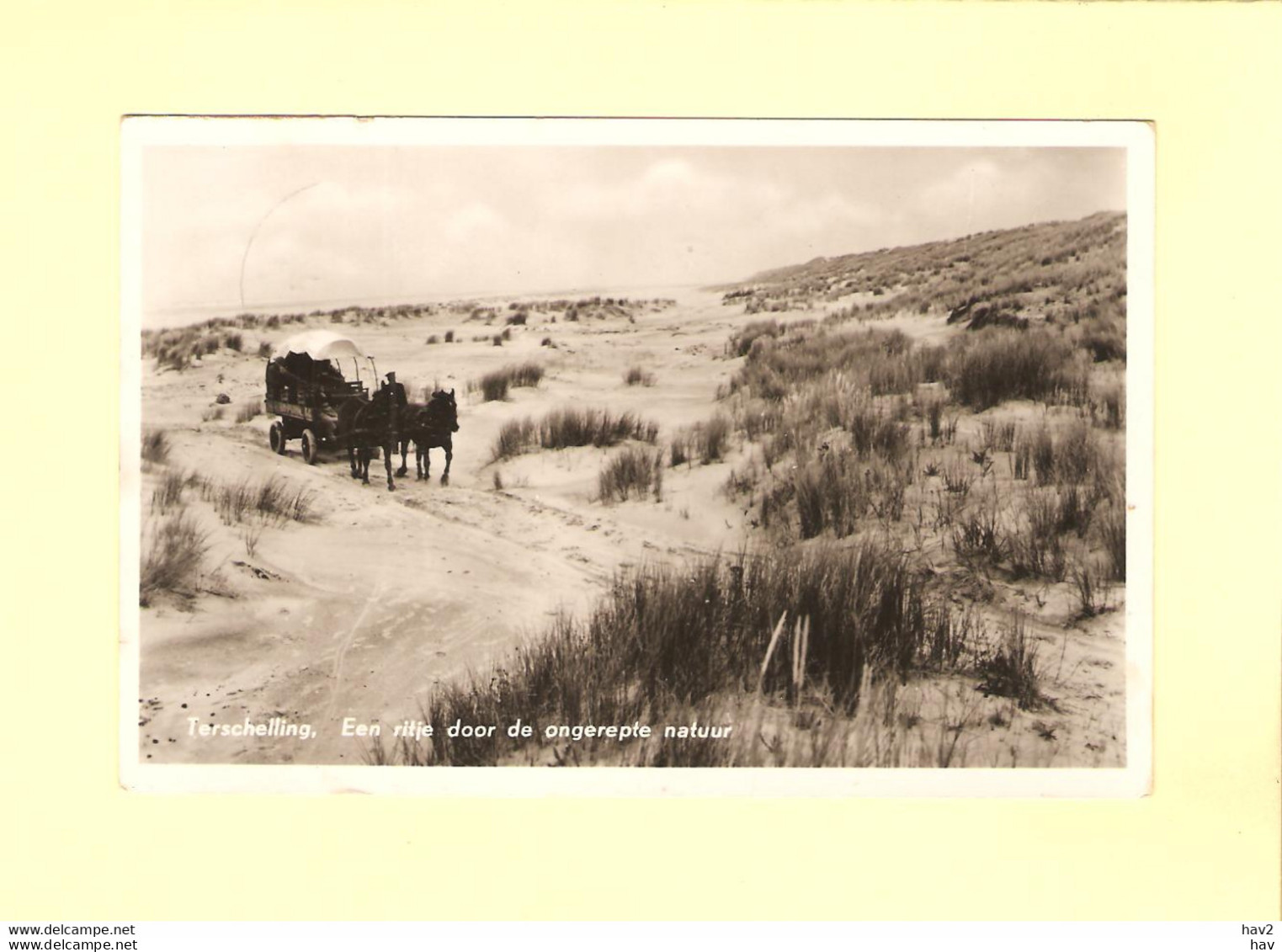 Terschelling Huifkar In Duinen 1956 RY45520 - Terschelling