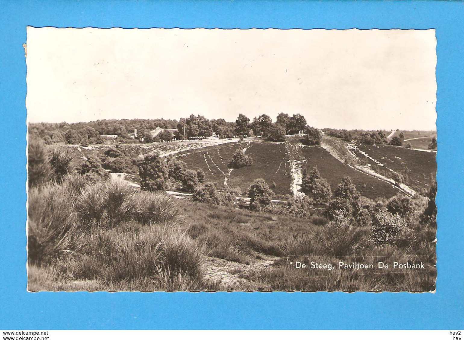 Rheden Landschap De Posbank 1951 RY47140 - Rheden