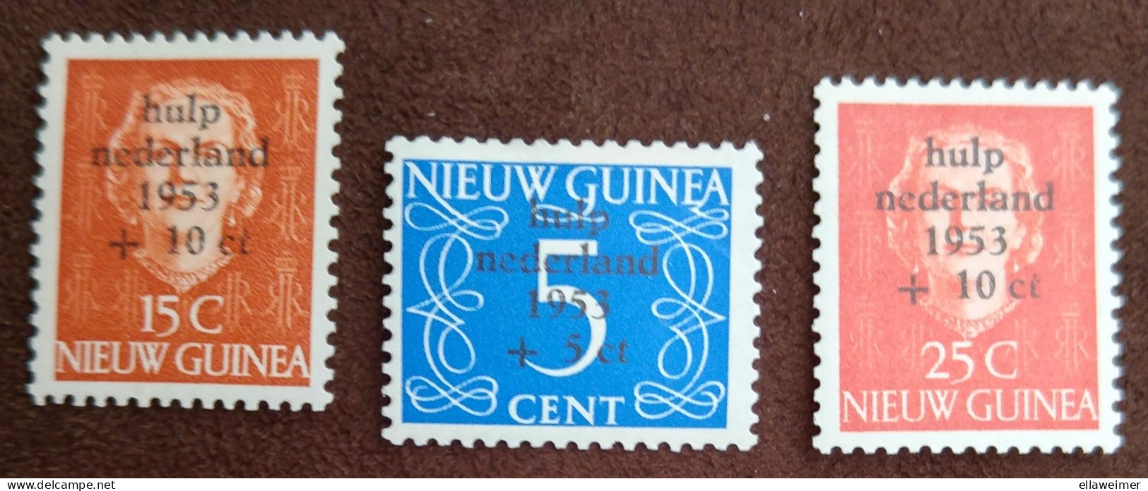 Nederlands Nieuw Guinea - Nrs. 22 T/m 24 Watersnood 1953 (postfris) - Nederlands Nieuw-Guinea