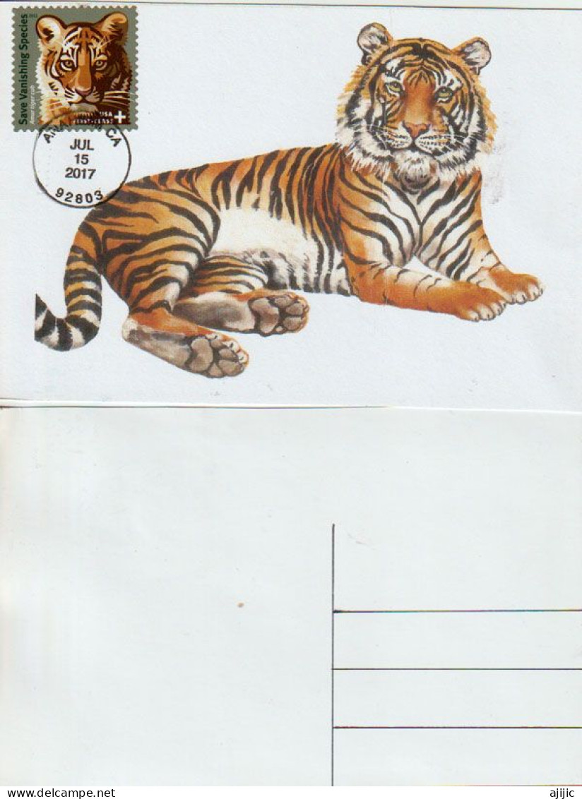 ETATS-UNIS. Le Tigre De Sibérie, Carte-maximum Philatélique Etats-Unis (Save Vanishing Species) - Maximum Cards