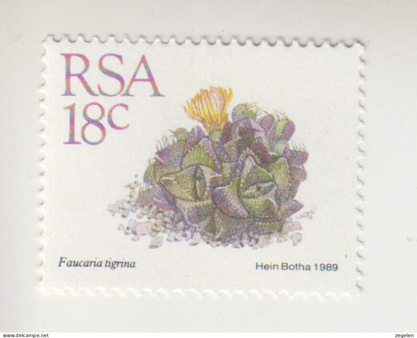 Zuid-Afrika Michel-cat. 770 ** - Unused Stamps