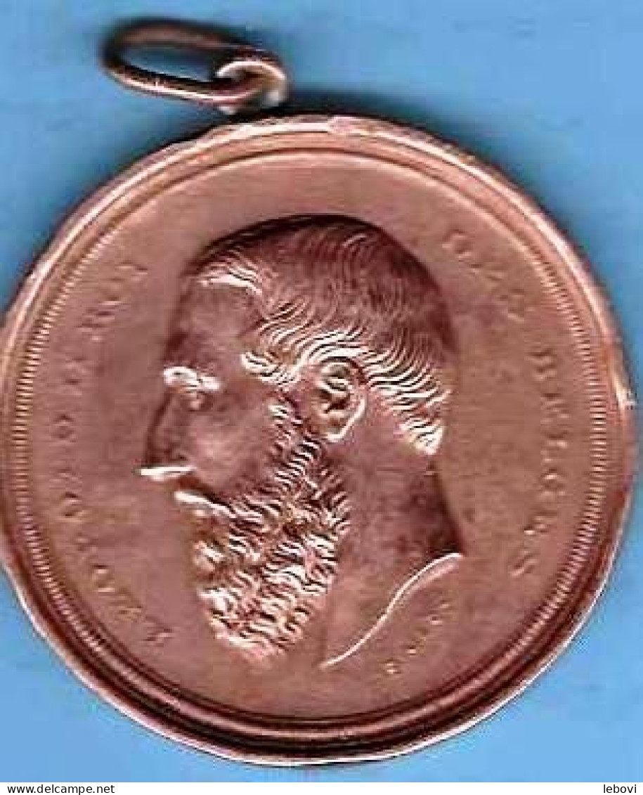 Belgique  (PHILIPPEVILLE) Médaille AVERS « LEOPOLD II ROI DES BELGES » - REVERS « COMICE AGRICOLE/DU CANTON DE ----> - Autres & Non Classés