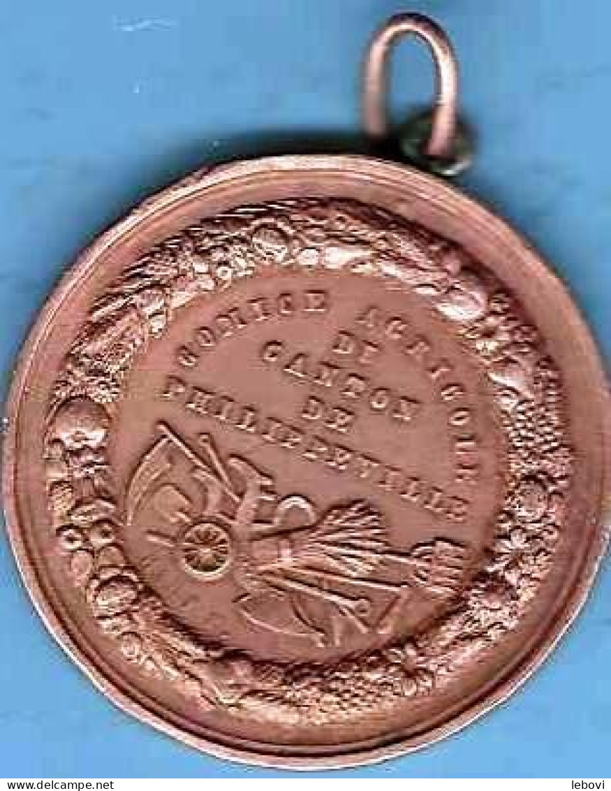 Belgique  (PHILIPPEVILLE) Médaille AVERS « LEOPOLD II ROI DES BELGES » - REVERS « COMICE AGRICOLE/DU CANTON DE ----> - Autres & Non Classés
