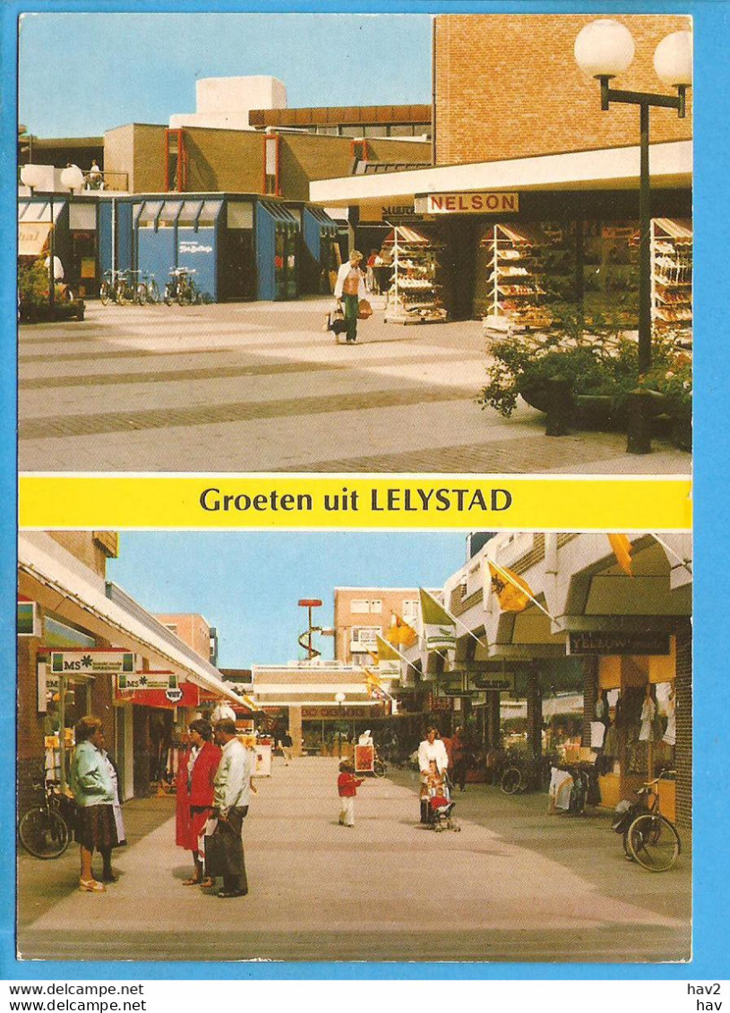 Lelystad Winkelcentrum De Gordiaan 2-luik RY5623 - Lelystad