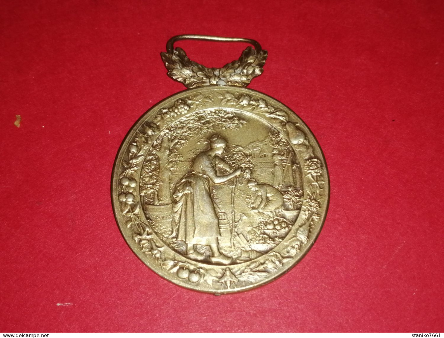 MÉDAILLE ARGENT AGRICULTURE SCIENCE ARTS BELLES LETTRES DE LA LOIRE GRAVEUR DUBOIS 42 Mm 36 Gr. - Professionals/Firms