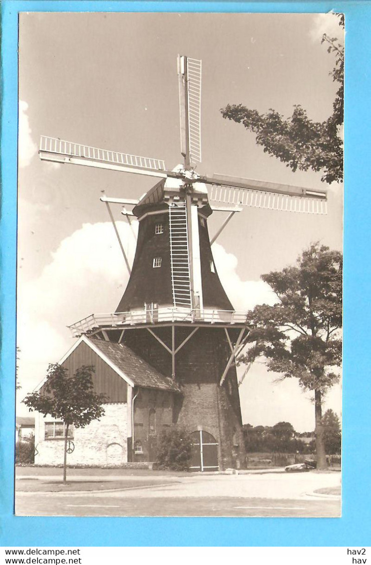 Winschoten Molen Winschoterdiep Repro/foto ML1150 - Winschoten